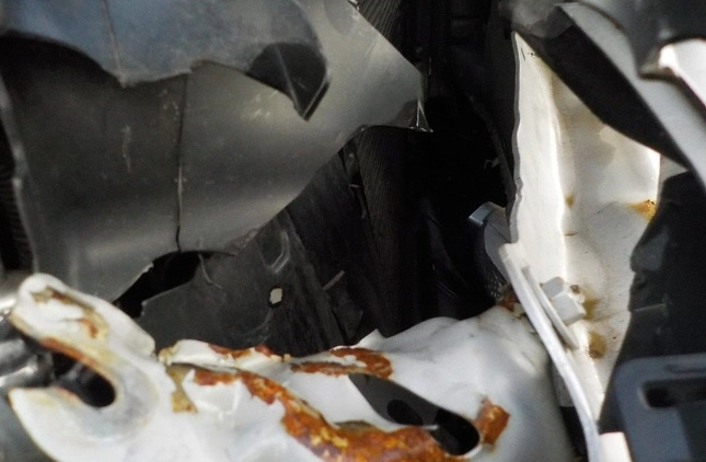 Toyota Yaris cena 20900 przebieg: 23514, rok produkcji 2019 z Stęszew małe 301